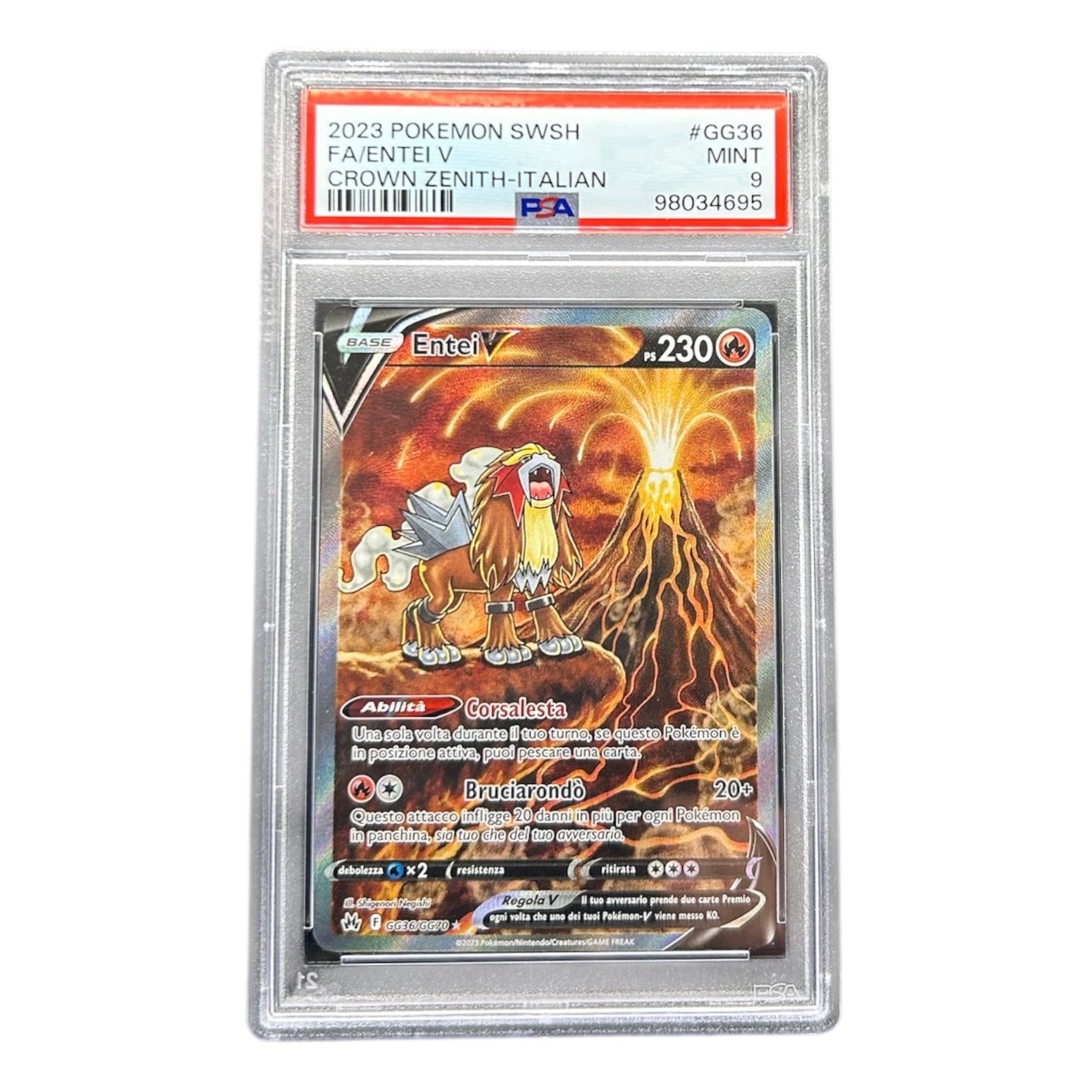 ENTEI V 